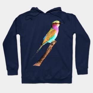 Colourful Lilac-breasted Roller Hoodie